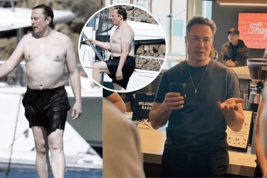 Elon Musk Weight Loss Strategies Behind His Health Journey Sslcddcn