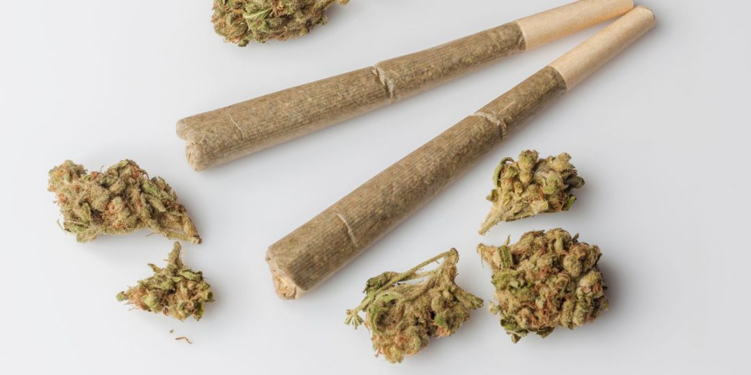 Summary of the Latest Top 5 THC Pre-Rolls Elevate - McU - McPherson  University