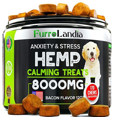 CBD Treats for Pet Anxiety Dosage and Safety