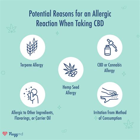 Allergic Reaction to CBD Gummy: A Comprehensive Guide to Powerful-strategies Risks, Symptoms, Coach and Treatment Options (OgOED) SkyNet Worldwide Express Allergic Reaction to CBD Gummy: A Comprehensive Guide to Powerful-strategies Risks, Symptoms, Coach and Treatment Options (OgOED) SkyNet Worldwide Express