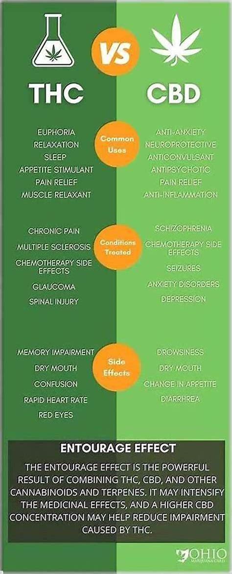 CBD Gummies vs THC Edibles: Secret Handy A Comprehensive Comparison (VczcC)   SkyNet Worldwide Express