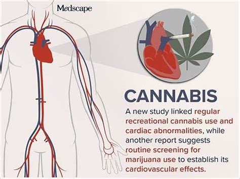 Do Marijuana Gummies Lower Blood Pressure: This-year A Comprehensive  Achieve Review (usCEs) – SkyNet Worldwide Express