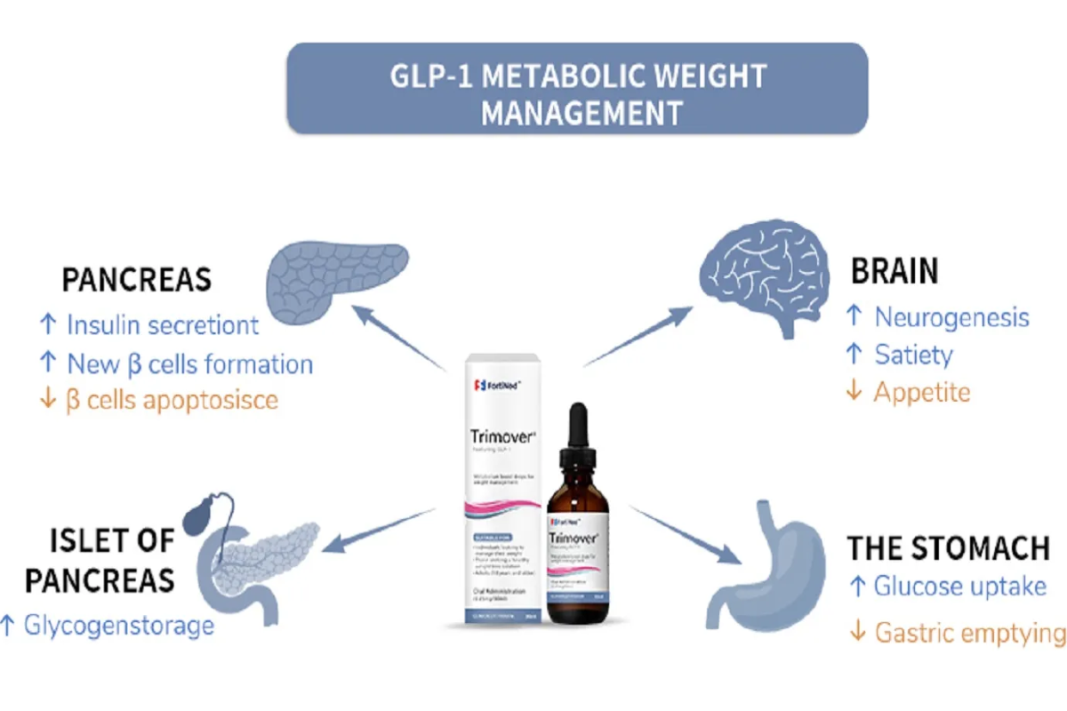 trimova glp-1 Top Trimova Weight Loss Strategies Hidden Handy to Try Two Weeks Before  Christmas – SkyNet Worldwide Express
