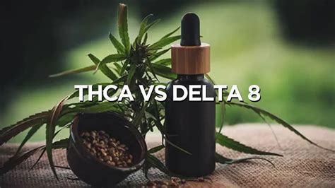 Uplift CBD Reviews: A Comprehensive Guide to THCA Roadmap Excellent-quality  and Delta 8 Products (LFYRZ)  SkyNet Worldwide Express