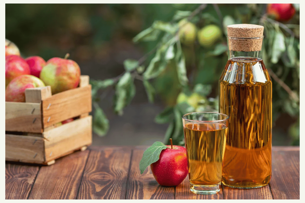 Effects of Apple Cider Vinegar on Weight Loss