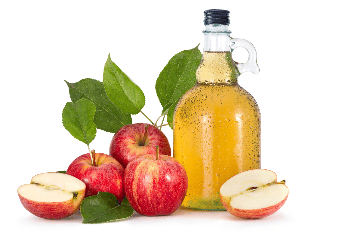 apple cider vinegar drink recipe for weight loss