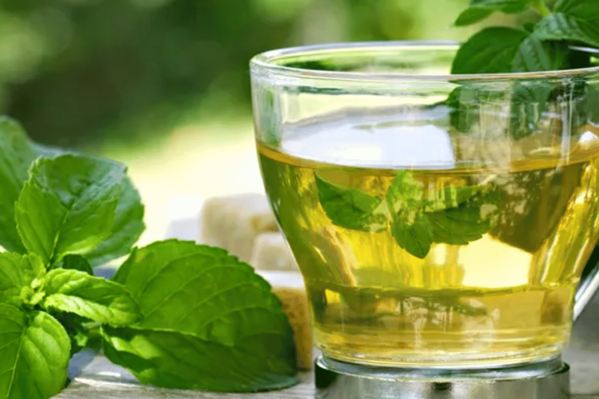 best green tea for burning fat