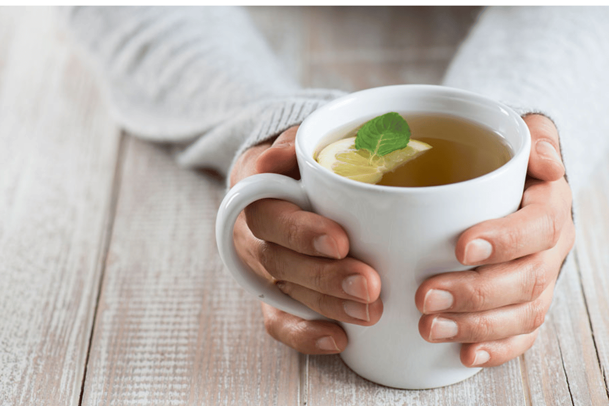 best green tea for burning fat