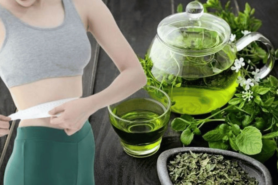 most effective green tea for weight loss