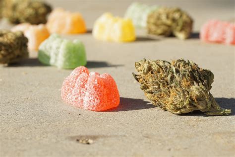 2.5 mg CBD Gummies: Benefits, Dosage, and Safety Considerations