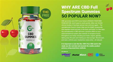 40mg CBD Gummies Effect: Benefits, Side Effects, and User Reviews