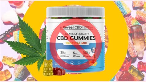 ACV CBD Gummies Reviews: Benefits, Effects, and User Testimonials