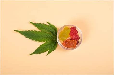 Are CBD Gummies Legal in All States? Understanding CBD Legality