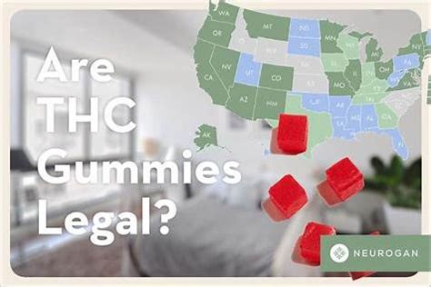 Are CBD Gummies Legal in North Carolina: Laws, Regulations, and Facts