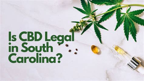 Are CBD Gummies Legal in South Carolina? Understanding CBD Laws