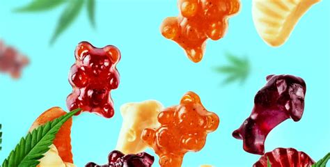 Are CBD Gummies Safe for Seniors? Benefits, Risks, and Expert Advice