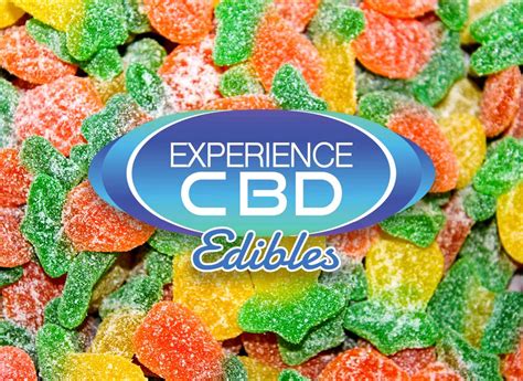 Best CBD Gummies Myrtle Beach: Reviews, Benefits, and Laws