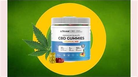 Best CBD Gummies for Anxiety and Stress: Expert Guide and Reviews