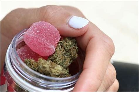 Best CBD Gummies for Beginners: A Comprehensive Guide to Getting Started