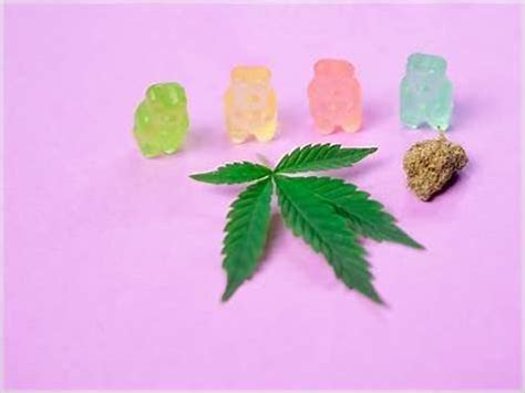 Best CBD Gummies in Austin, TX - Top Products and Stores