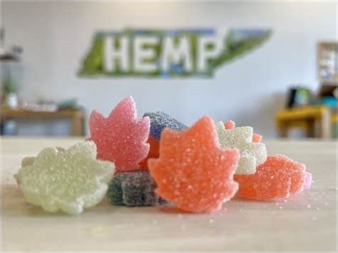 Best CBD Power Gummies for ED: Benefits, Risks, and Top Products