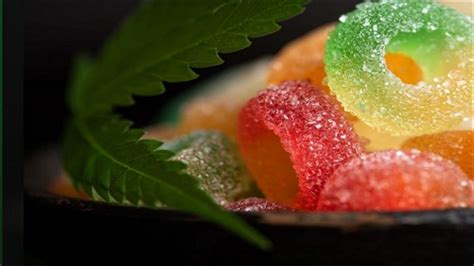 Best Cat CBD Gummies: Benefits, Reviews, and Expert Advice