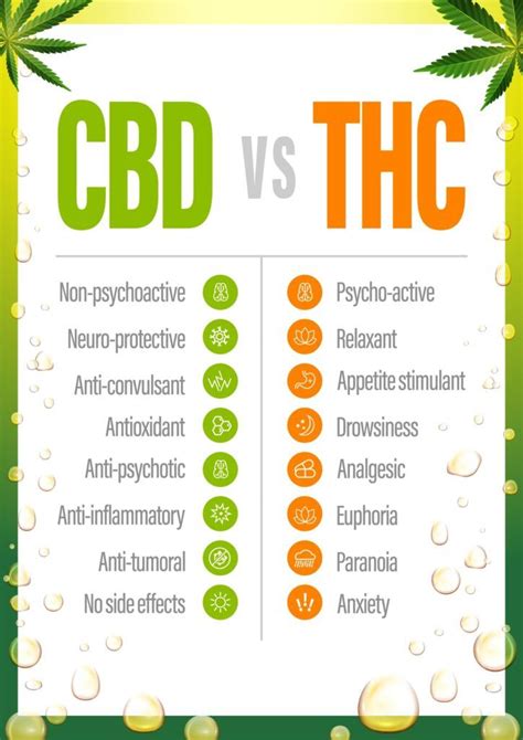 Beyond CBD THC Gummies: Benefits, Effects, and Reviews