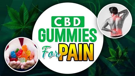 Bloom CBD Gummies Review: THC-Free CBD Benefits and Effects