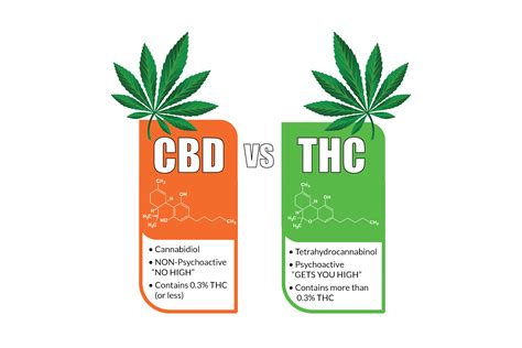 CBD Gummies THC Content: Understanding the Difference and Importance