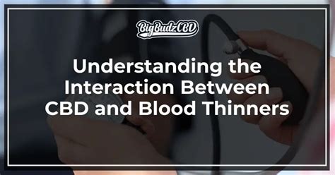 CBD Gummies and Blood Thinners: Safety, Interactions, and Expert Insights