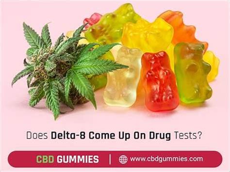 CBD Gummies and Drug Testing: What You Need to Know