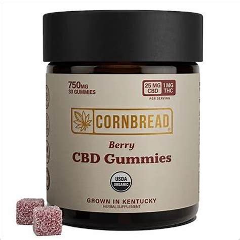 CBD Gummies for Gastritis: Soothing Relief and Management Guide