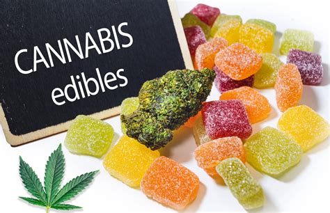 CBD Gummies vs Capsules: Which is Best for You? | CBD Oil Comparison