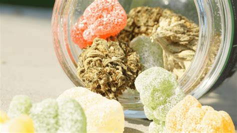 CBD Gummies vs Hemp Gummies: Understanding the Difference and Benefits