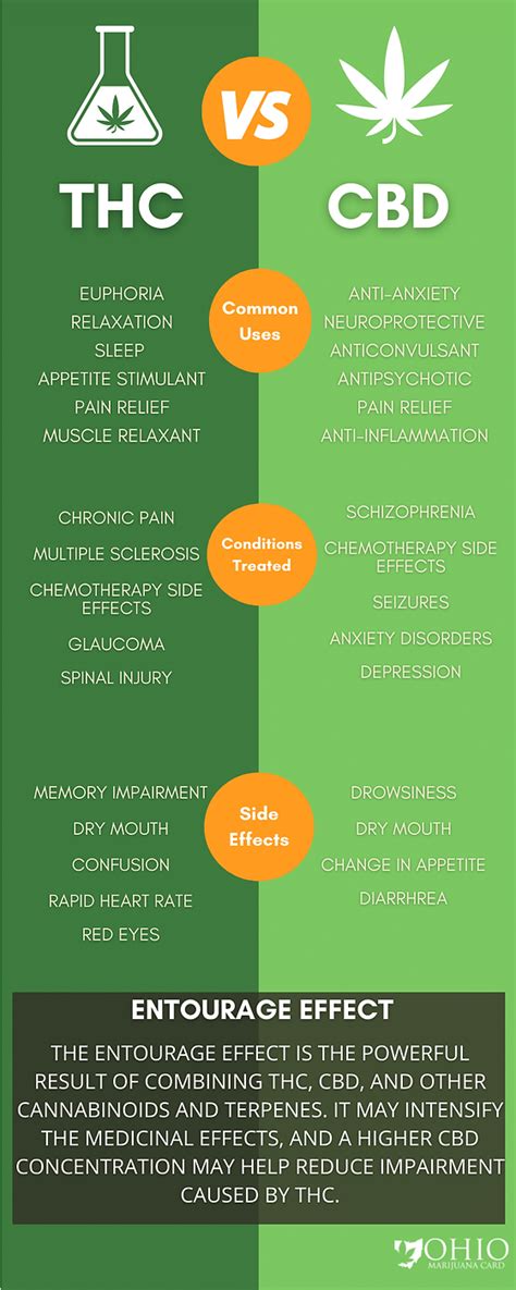 CBD Gummies vs THC Edibles: Differences, Benefits, and Side Effects