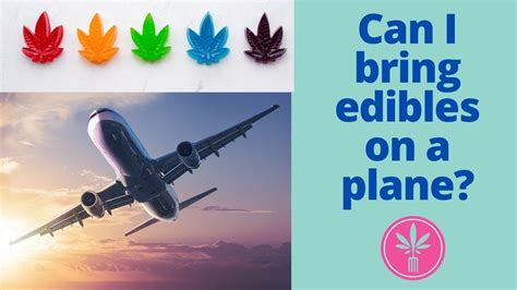 Can You Transport CBD Gummies on a Plane? A Comprehensive Guide