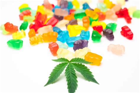 Cannabis Gummy Bears Recipe: Easy Guide to Making Weed Gummies at Home