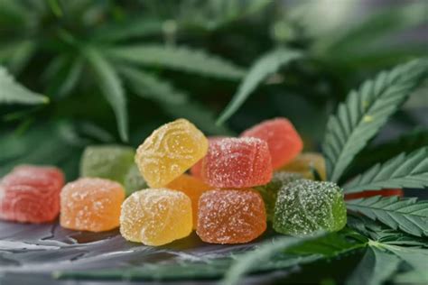 Cannabis Gummy Recipe Gelatin: A Comprehensive Guide to Making DIY Gummies