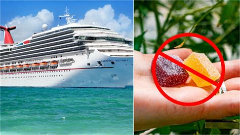 Carnival Cruise Line CBD Gummies: Your Vacation Relaxation Solution