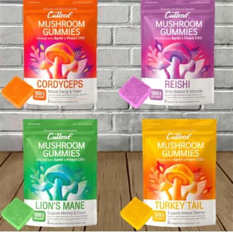 Discover the Benefits of CBD Mushroom Gummies - CBD and Mushrooms Guide