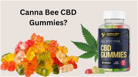 Discover the Best CBD Gummies by Canna Labs - Expert Reviews and Guides