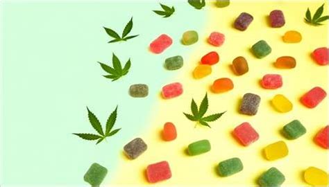 Discover the Best Cannabis Gummies 2025: Top Picks and Expert Reviews