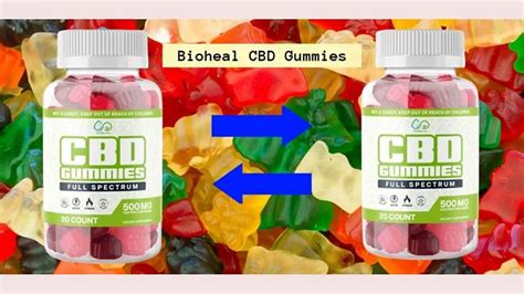 Discover the Truth About Bio Heal CBD Gummies Shark Tank - Reviews and Facts