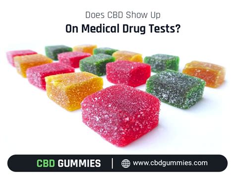 Do CBD Gummies Show on a Drug Test? Comprehensive Guide