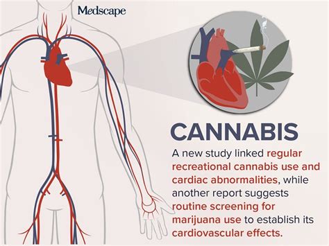 Do Cannabis Gummies Raise Blood Pressure? Understanding the Risks and Effects