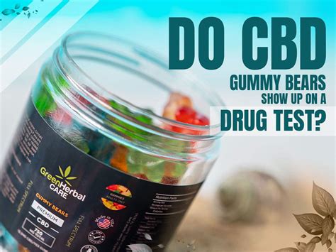 Does CBD Gummy Bears Show Up on a Drug Test? - Full Analysis