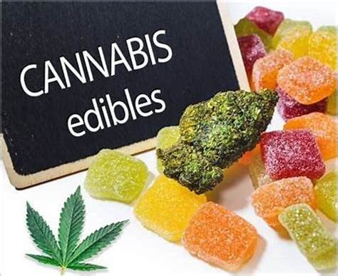 Donde Comprar CBD Gummies - Guías y Beneficios de los CBD Gummies