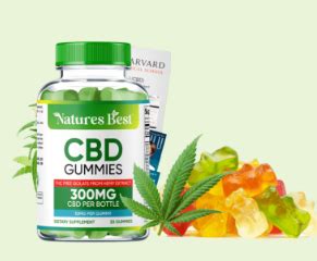 Earth Meds CBD Gummies - Natural Relief for Stress, Anxiety, and Discomfort