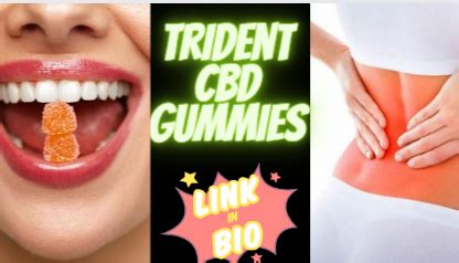 Google CBD Gummies: Benefits, Reviews, and Reliable Sources