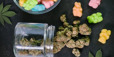 Gummy Bear Cannabis Guide: Effects, Benefits & Selection Tips